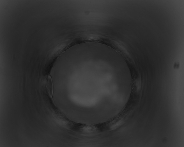 X0000093100415200710031503