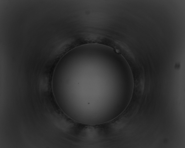 X0000093100416200710031503