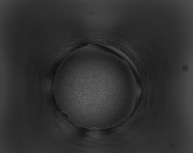 X0000093100417200710031503