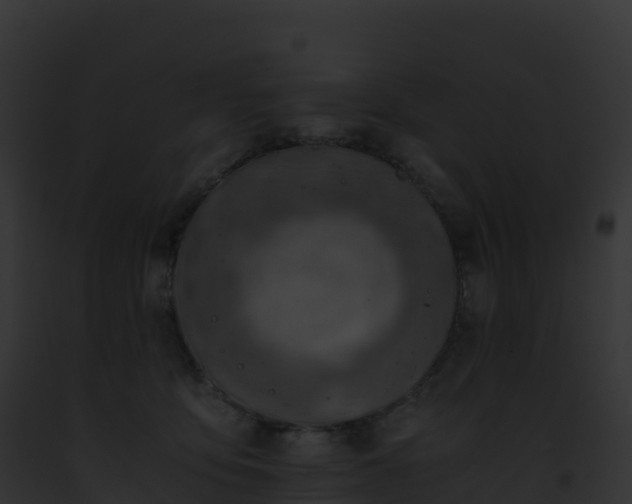 X0000093100419200710031503