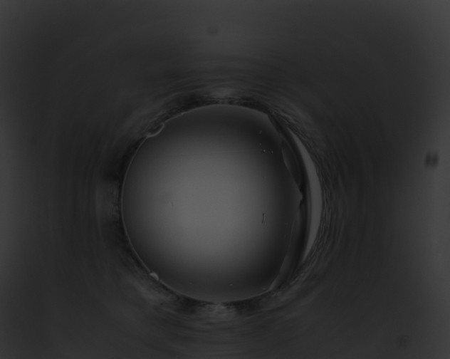 X0000093100421200710031503