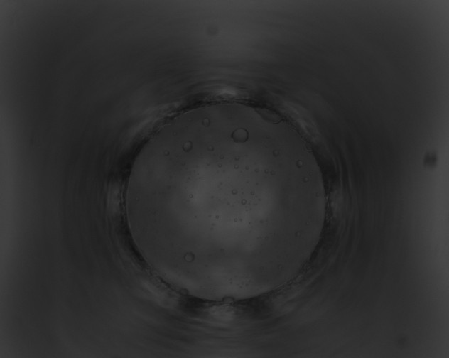 X0000093100423200710031503
