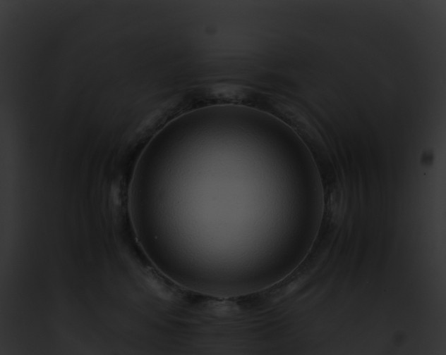 X0000093100424200710031503