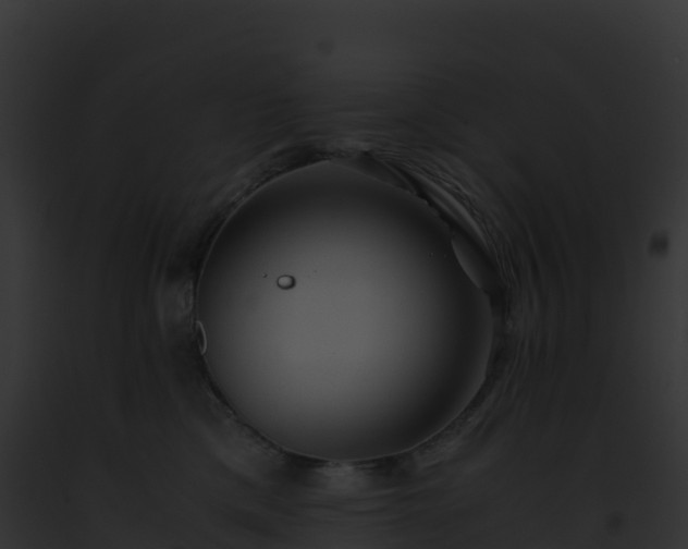 X0000093100425200710031503