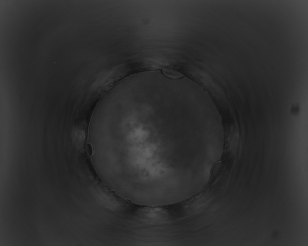 X0000093100427200710031503