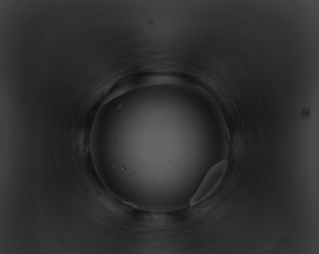 X0000093100428200710031503