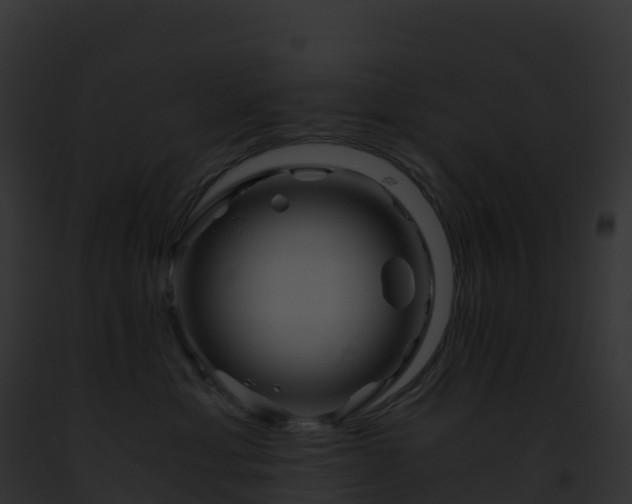 X0000093100429200710031503