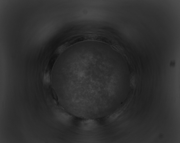 X0000093100431200710031503