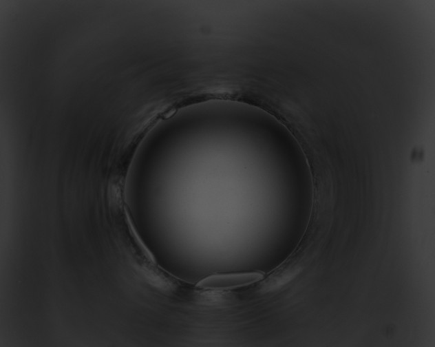 X0000093100432200710031503
