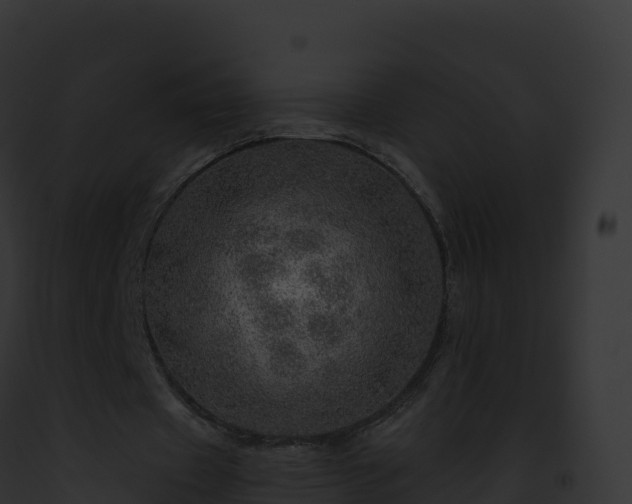 X0000093100433200710031502