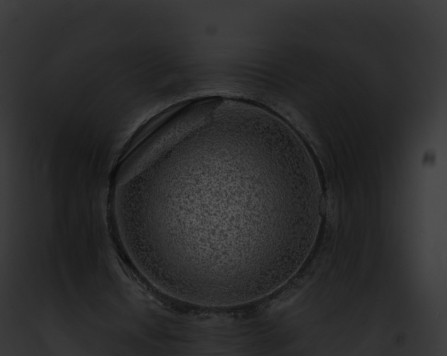 X0000093100434200710031502