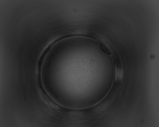 X0000093100435200710031502