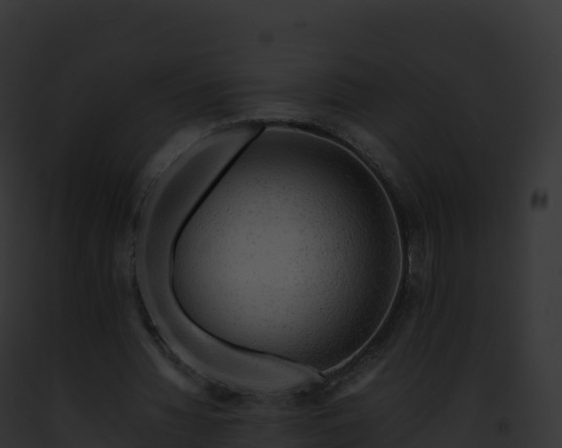 X0000093100436200710031502