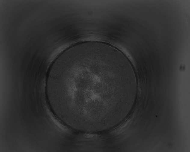 X0000093100437200710031502