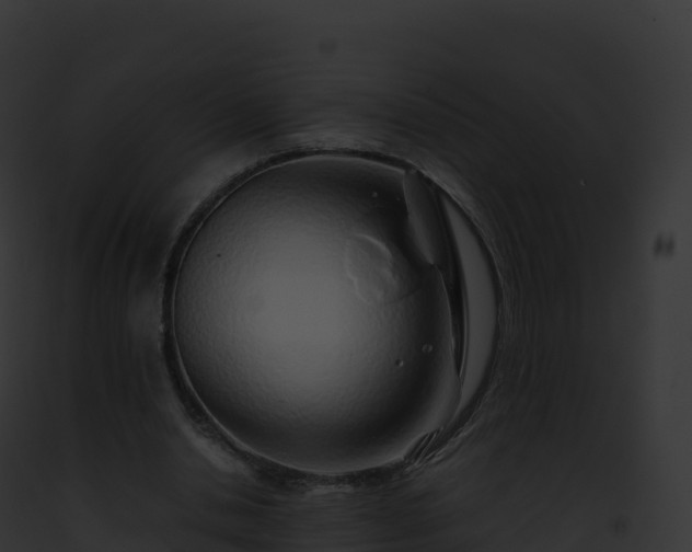 X0000093100438200710031502