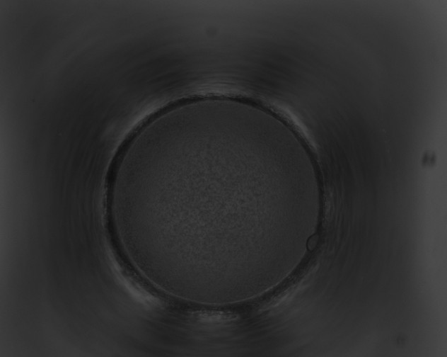 X0000093100439200710031502