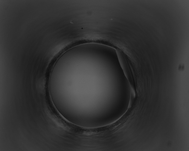 X0000093100440200710031502