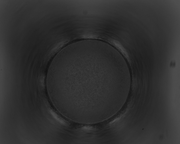 X0000093100441200710031502