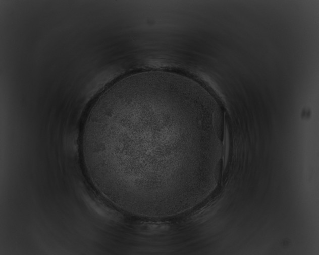 X0000093100443200710031502