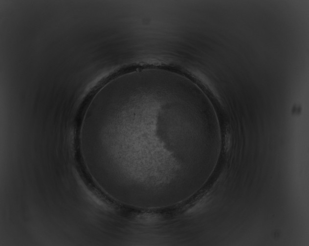 X0000093100444200710031502