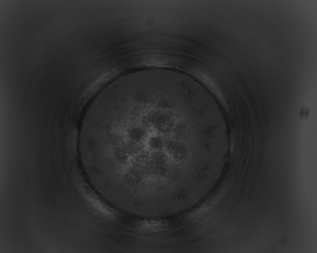X0000093100445200710031502