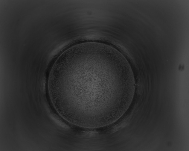 X0000093100446200710031502