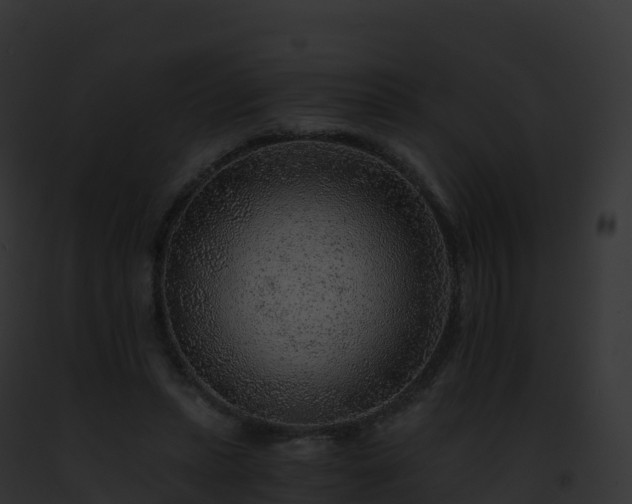 X0000093100447200710031502
