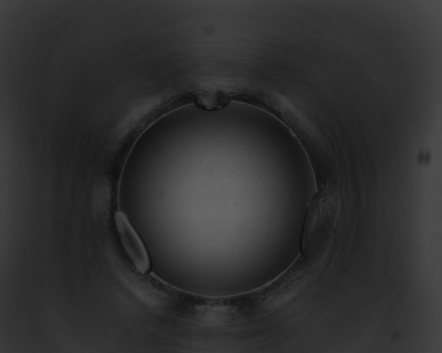 X0000093100448200710031502