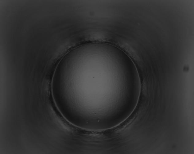 X0000093100449200710031502