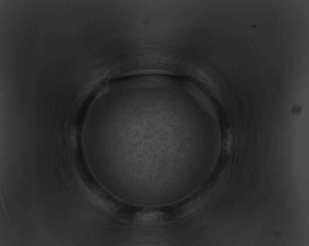 X0000093100452200710031502