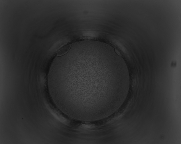 X0000093100455200710031502