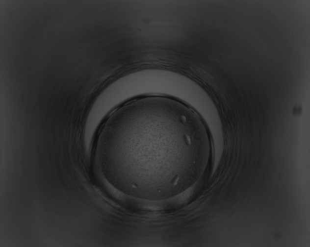 X0000093100456200710031502