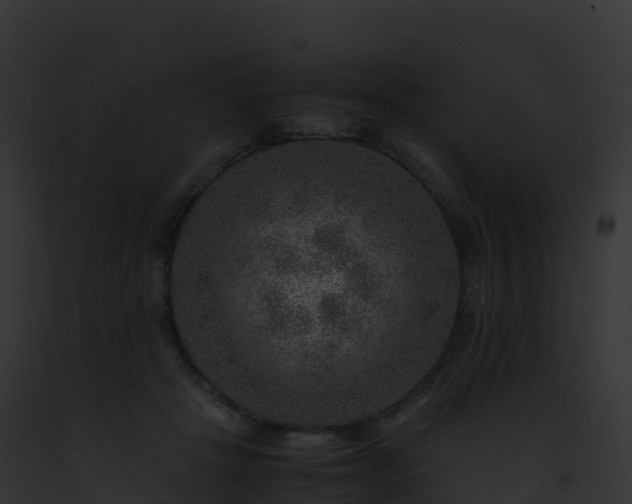 X0000093100457200710031502