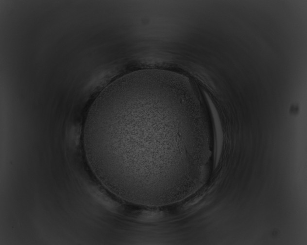 X0000093100458200710031502