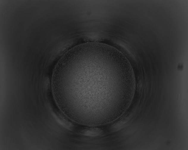 X0000093100459200710031502
