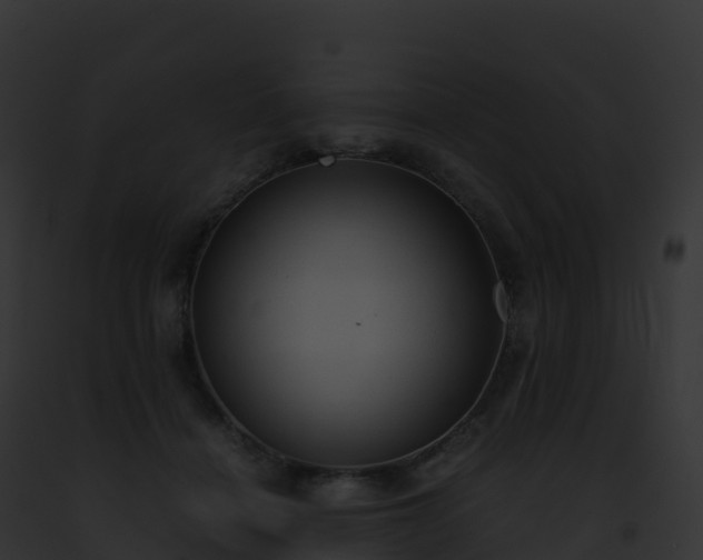 X0000093100460200710031502