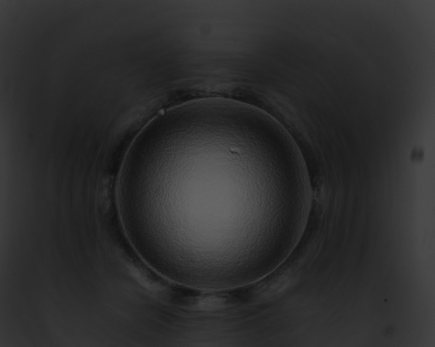 X0000093100462200710031502