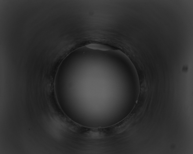 X0000093100464200710031502