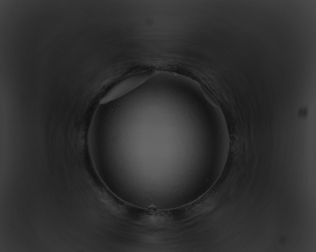 X0000093100466200710031503