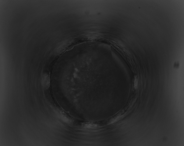 X0000093100471200710031503