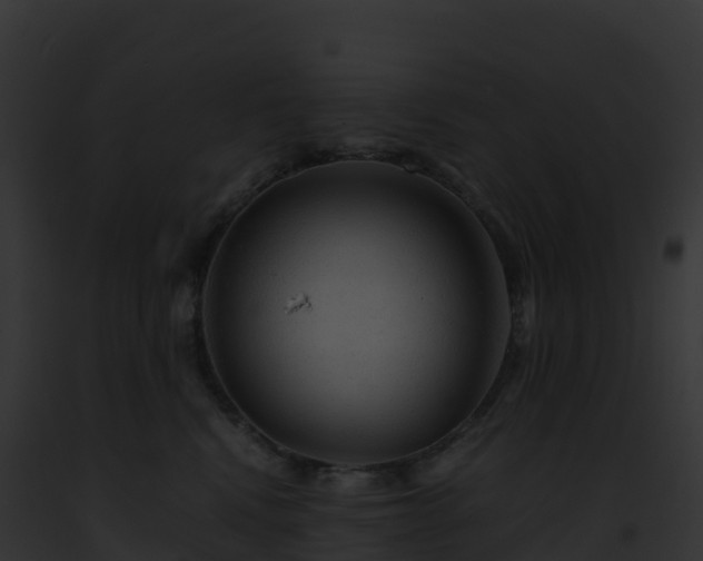 X0000093100472200710031503