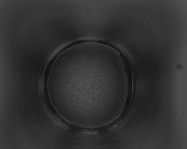 X0000093100484200710031502