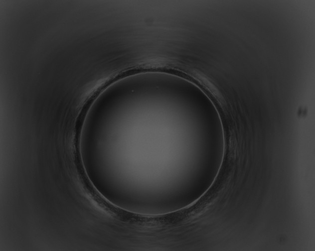 X0000093100485200710031502