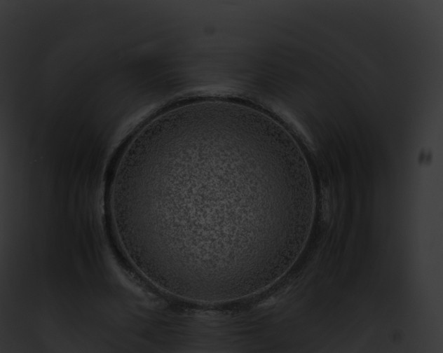 X0000093100486200710031502