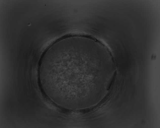 X0000093100487200710031502