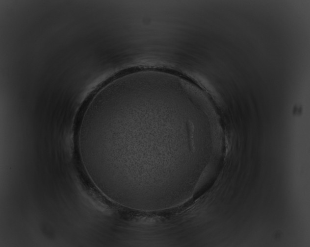 X0000093100488200710031502