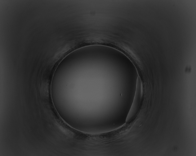 X0000093100489200710031502
