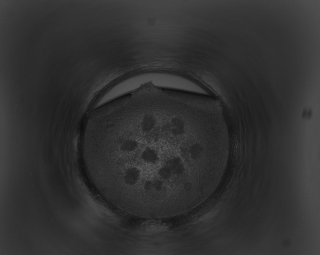 X0000093100491200710031502
