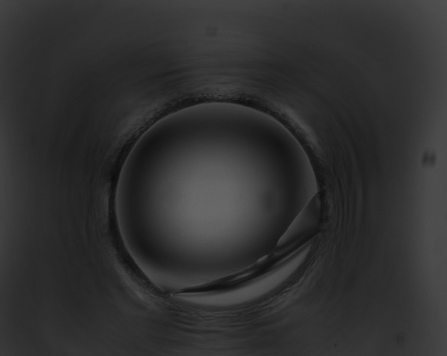 X0000093100493200710031502