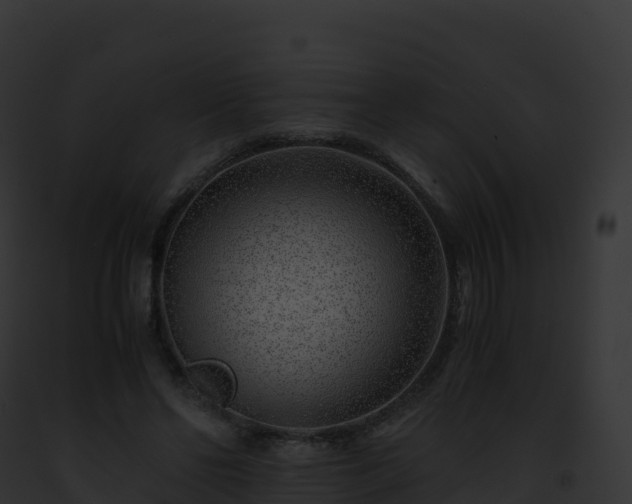 X0000093100494200710031502